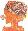 Avatar de Usuario