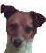 Avatar de Usuario