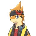 Avatar de Usuario