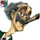 Avatar de Usuario